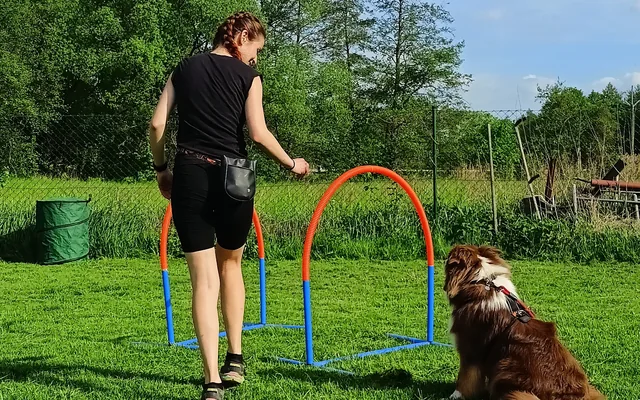 Trenérka a pes při tréninku s obručí na cvičišti DOGARDEN.